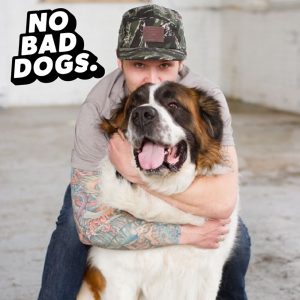 No Bad Dogs Podcast