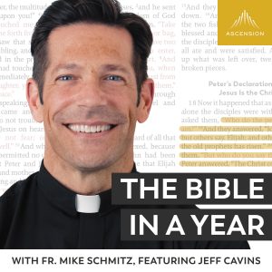 The Bible in a Year (with Fr. Mike Schmitz) podcast