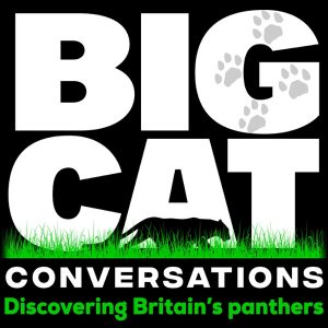 Big Cat Conversations