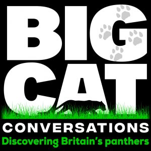 Big Cat Conversations podcast