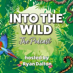 Into The Wild