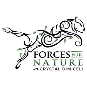 Forces for Nature podcast