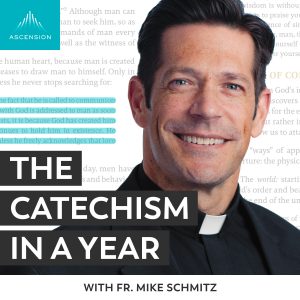 The Catechism in a Year (with Fr. Mike Schmitz) podcast