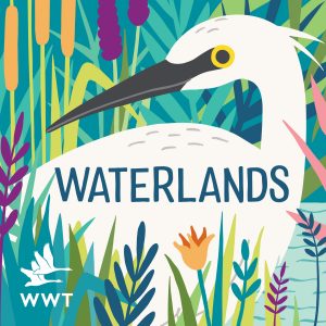 Waterlands