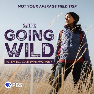 Going Wild Podcast
