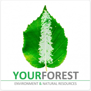 YourForest Podcast
