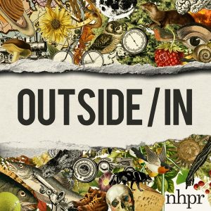 Outside/In