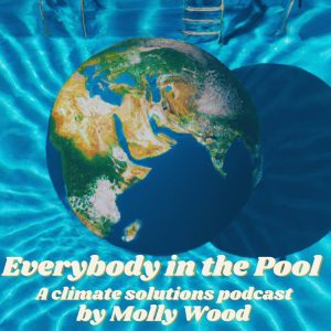 Everybody in the Pool podcast