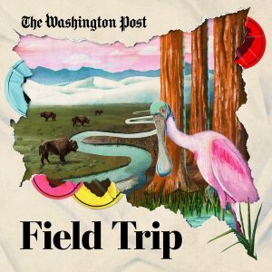 Field Trip podcast