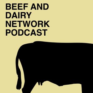 Beef And Dairy Network