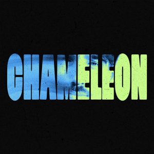 Chameleon: The Michigan Plot