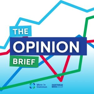The Opinion Brief