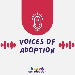 Voices Of Adoption